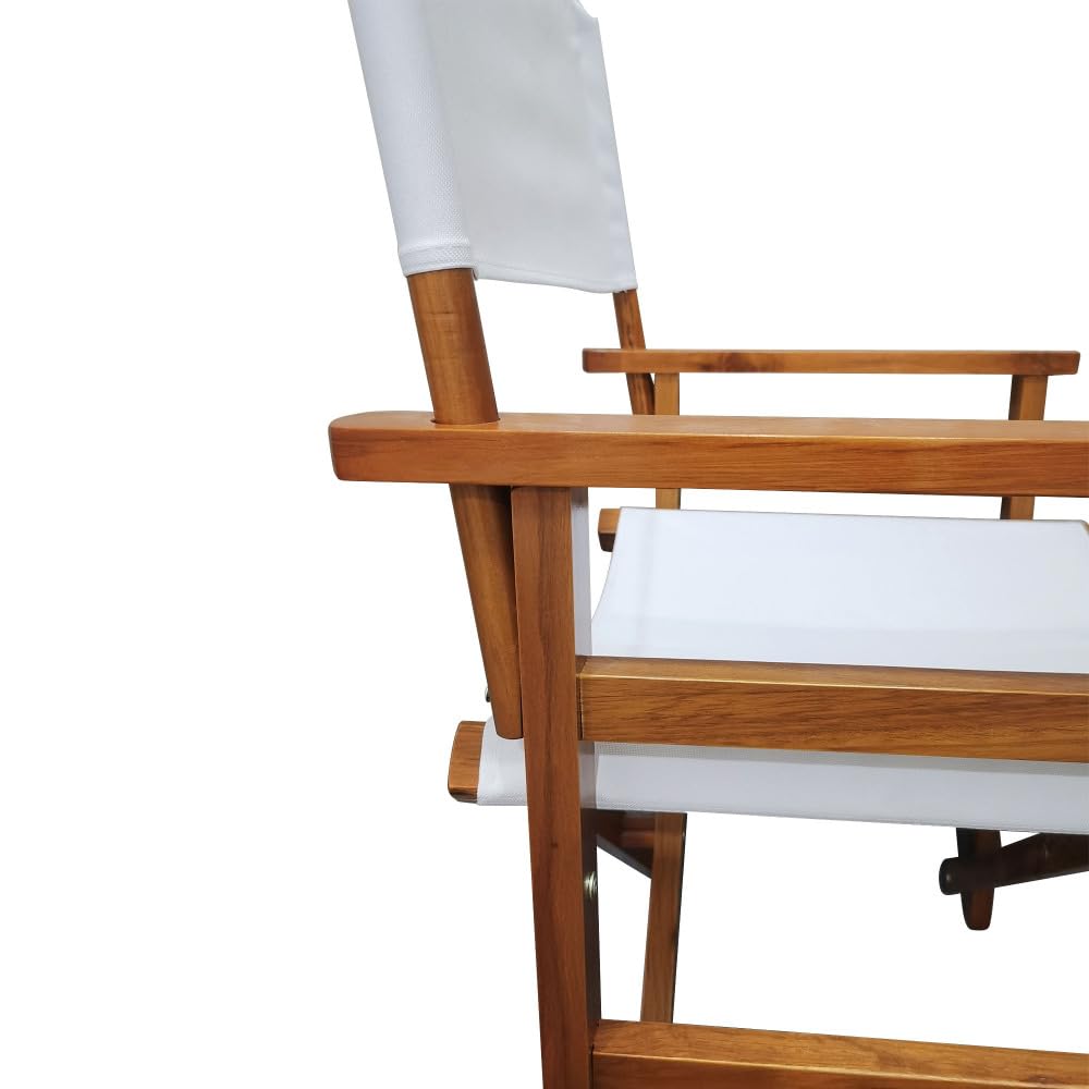 Black Canvas Director's Chair 2pcs Set Y406095