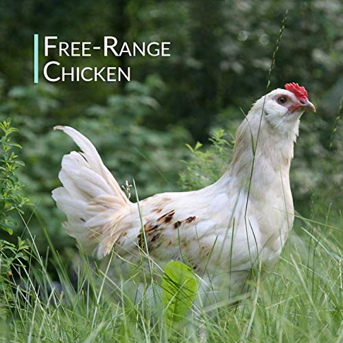 Organic Free Range Chicken Bone Broth Powder 1LB L7841