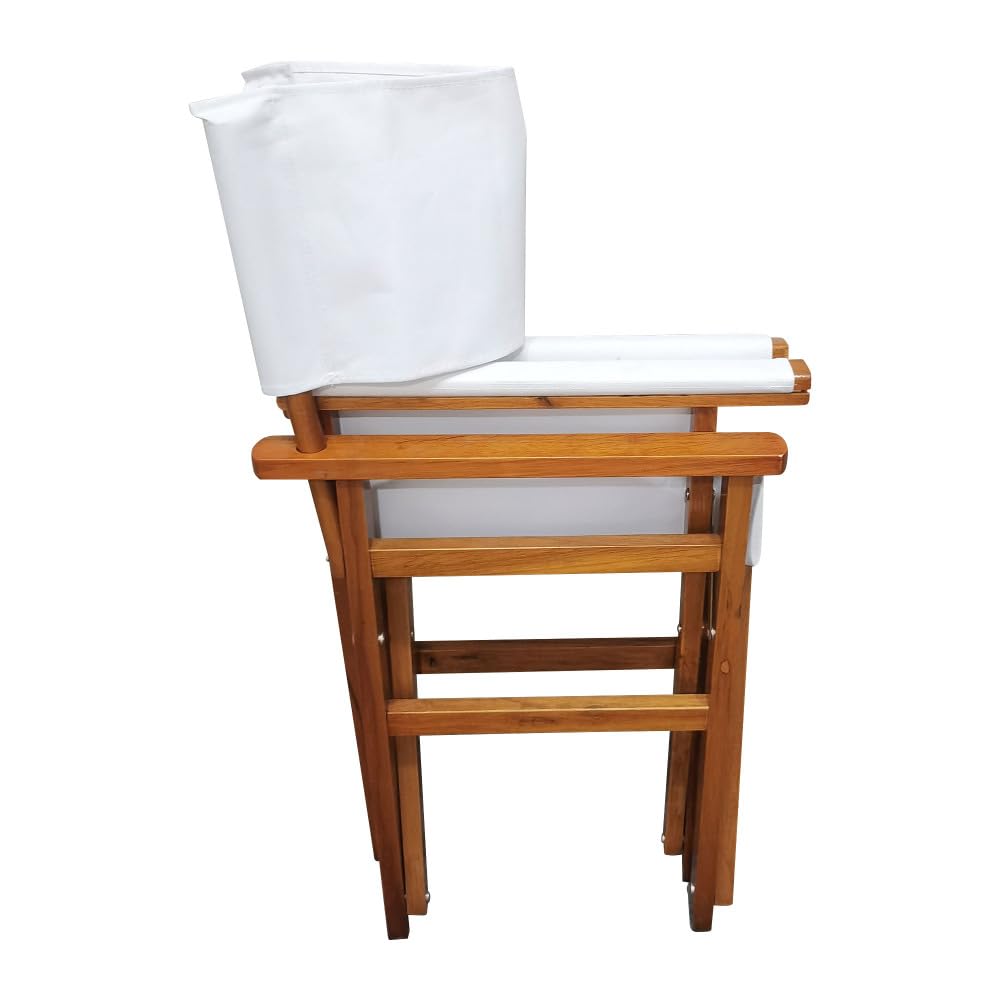 Black Canvas Director's Chair 2pcs Set Y406095