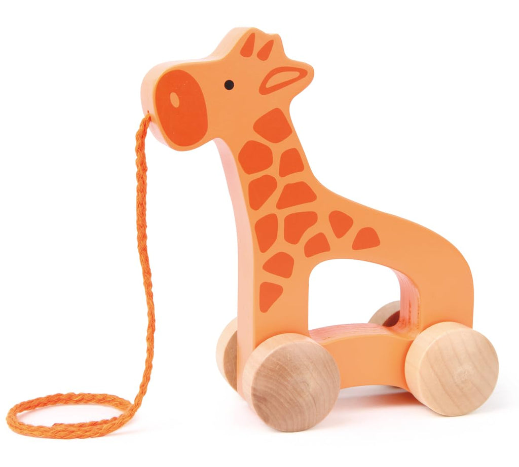 Wooden Push and Pull Toddler Toy Q811