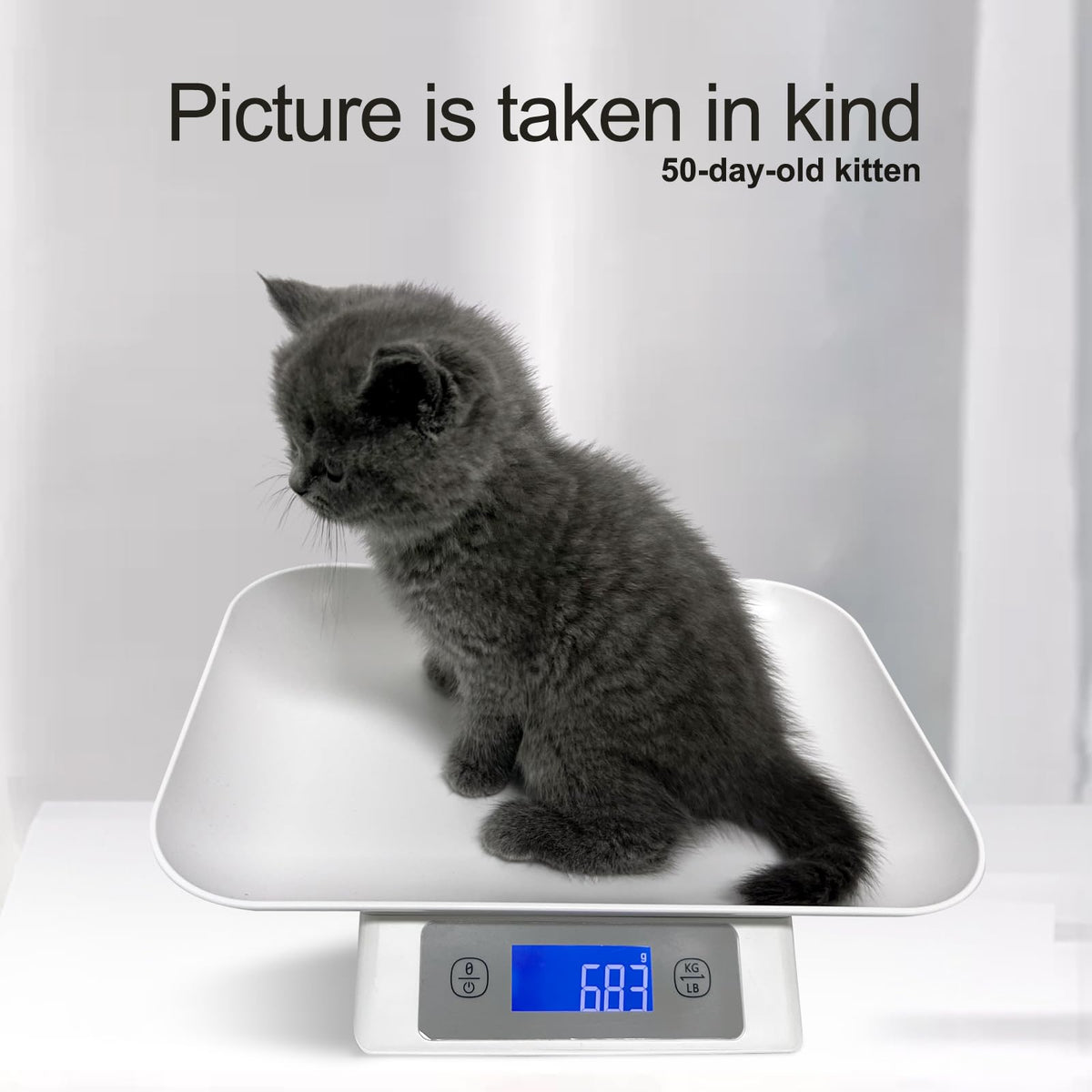 Digital Pet Scale for Small Cats and Animals Grey U609533