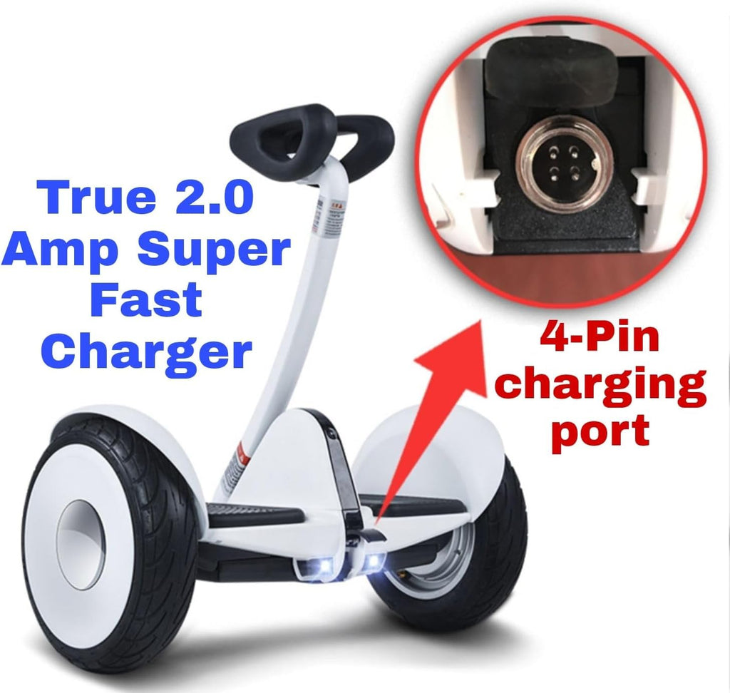 Electric Scooter Charger 63V 2A 4 Prong I927626