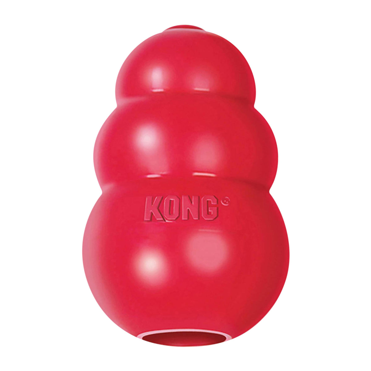 Classic Stuffable Natural Rubber Dog Toy I993933