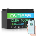 12V 100Ah LiFePO4 Lithium Battery J4454