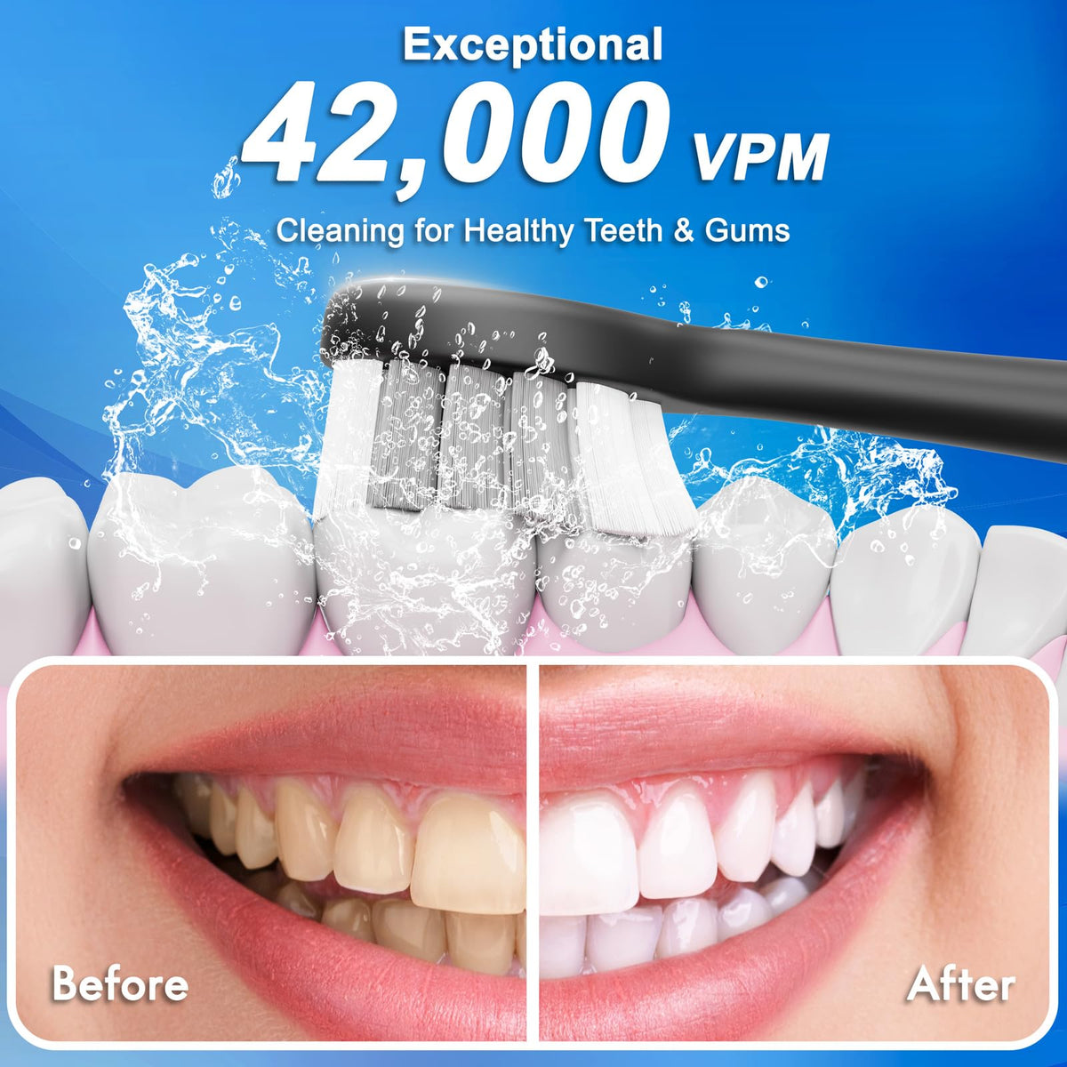 2 Pack Electric Toothbrush W22253