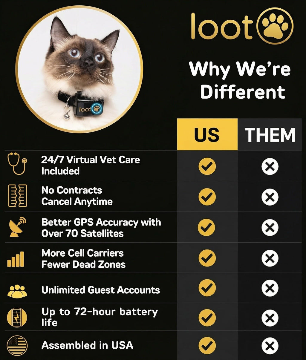GPS Cat Tracker Collar A677