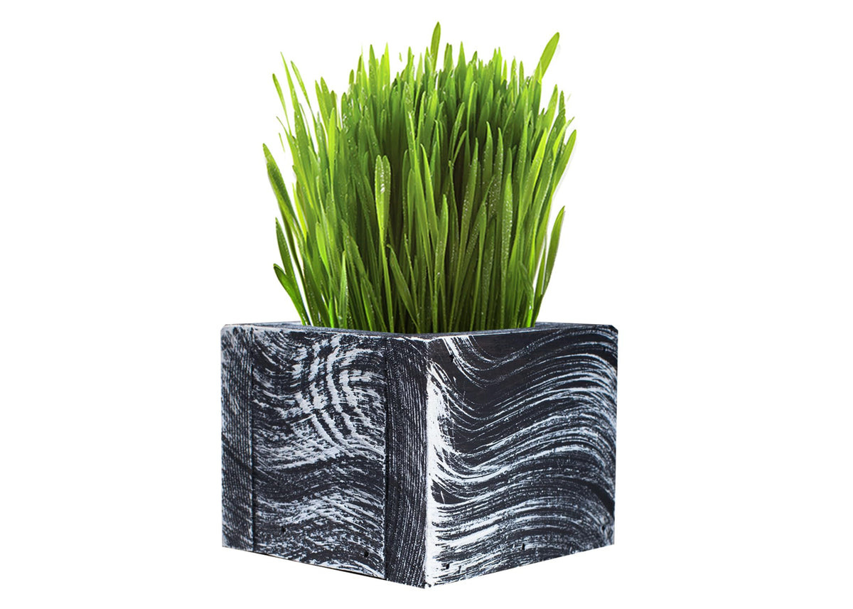 Organic Cat Grass Kit with Planter, Seeds and Soil S166