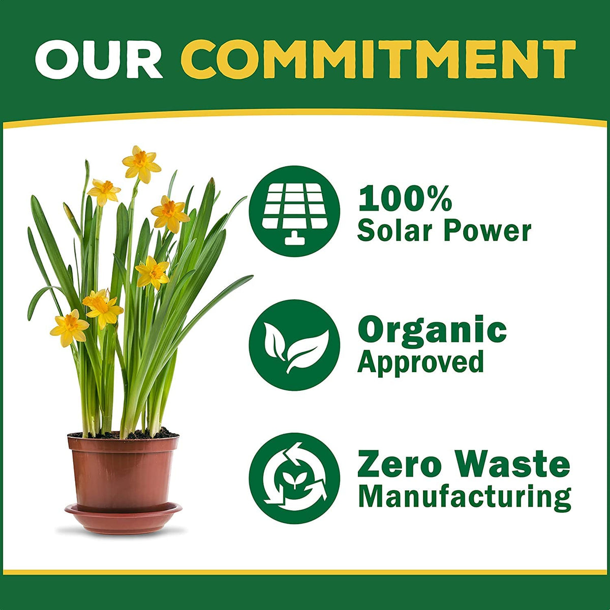 Organic Liquid Concentrate Plant Food 16oz T18544