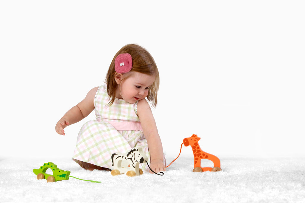 Wooden Push and Pull Toddler Toy Q811