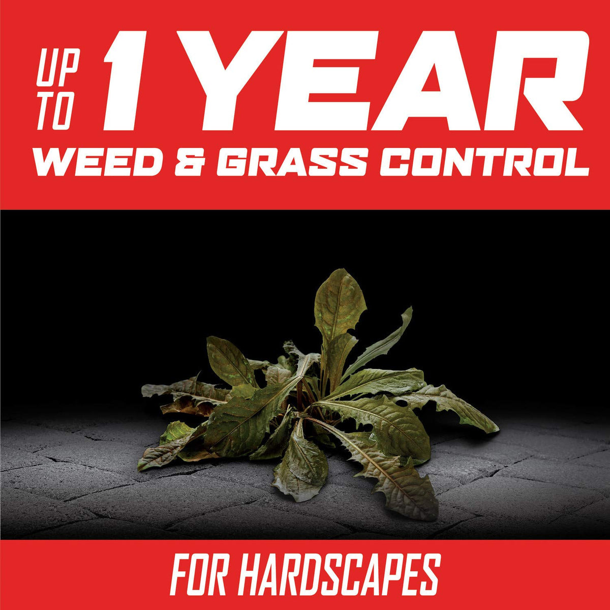 Year Long Vegetation Killer Concentrate 1 gal. O168586