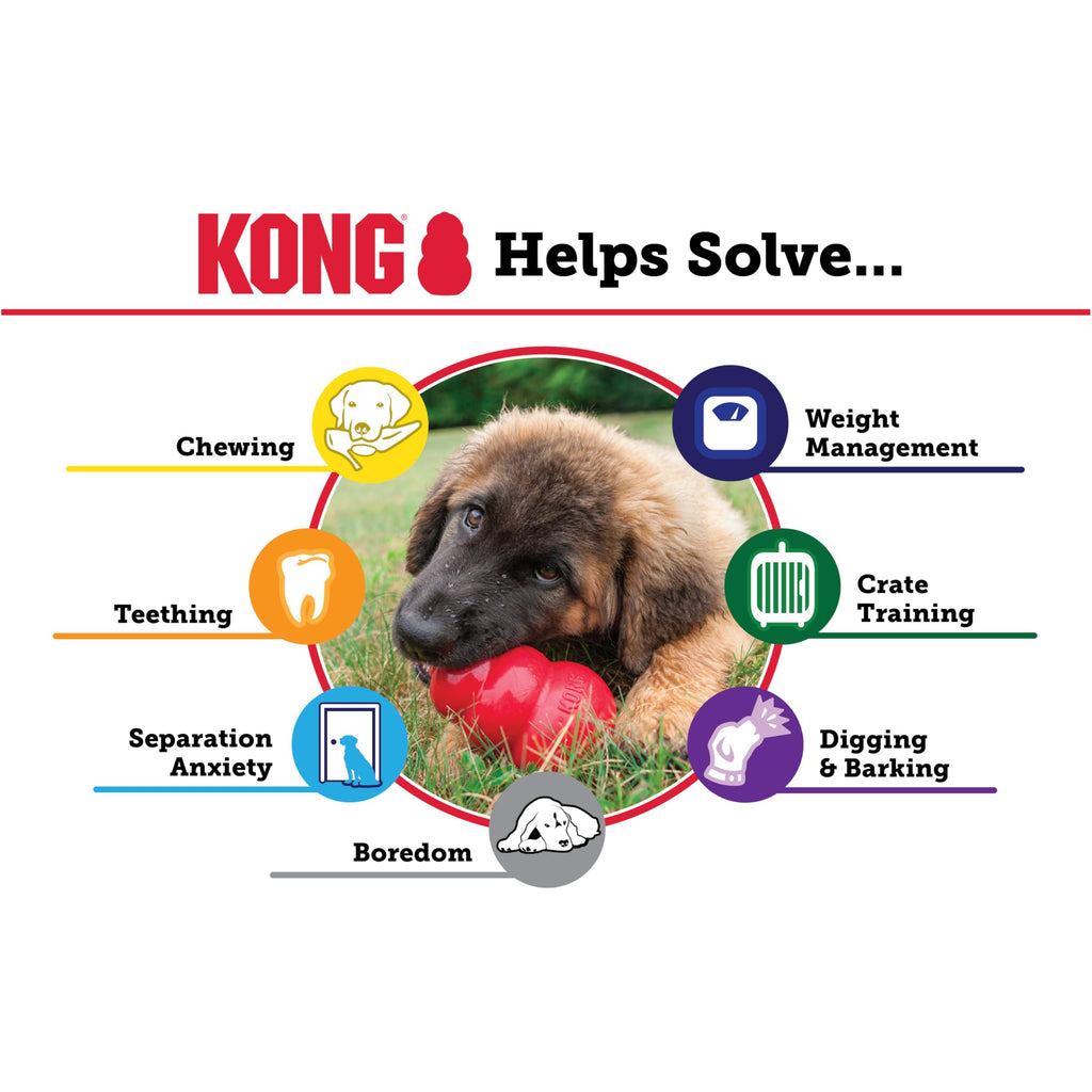 Classic Stuffable Natural Rubber Dog Toy I993933