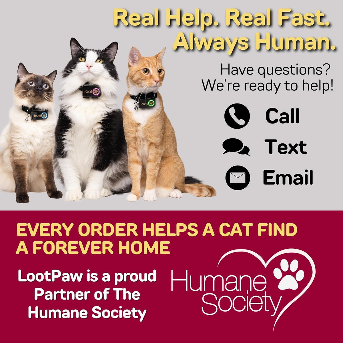 GPS Cat Tracker Collar A677