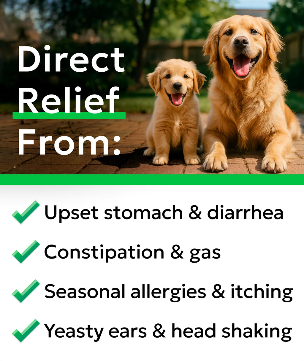 Dog Probiotics 120 Chews with Enzymes & Fiber J100163