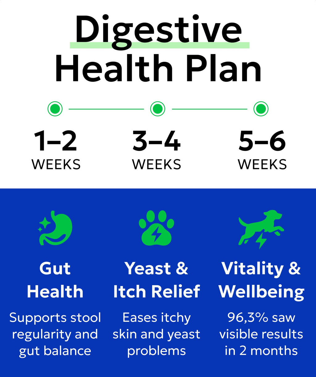 Dog Probiotics 120 Chews with Enzymes & Fiber J100163
