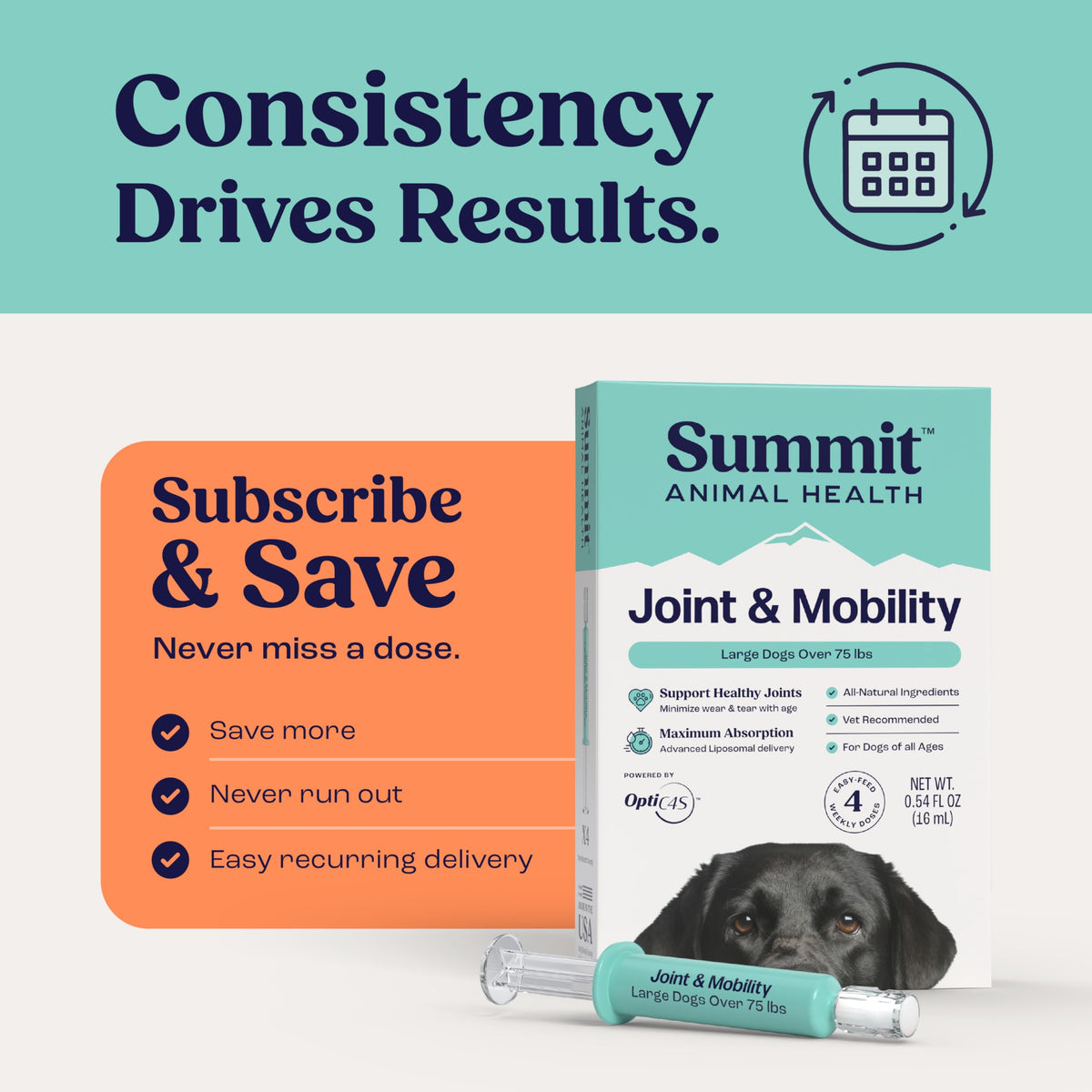 Liquid Joint and Mobility Supplement for Large Dogs N770197