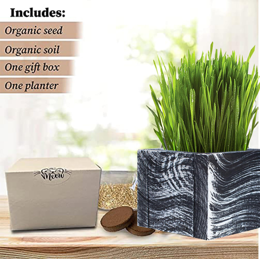 Organic Cat Grass Kit with Planter, Seeds and Soil S166