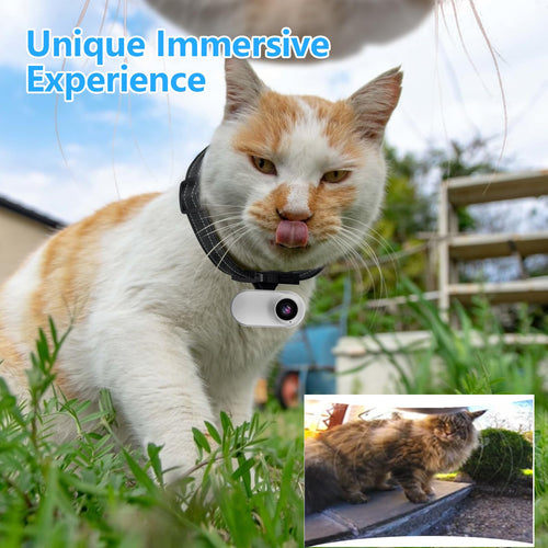 1080P Wireless Mini Pet Camera Collar Q705