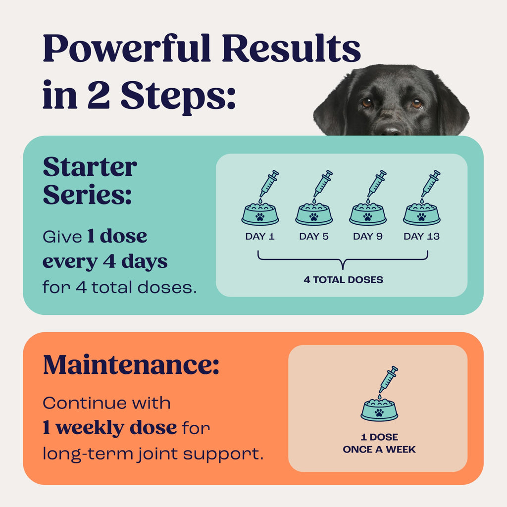 Liquid Joint and Mobility Supplement for Large Dogs N770197