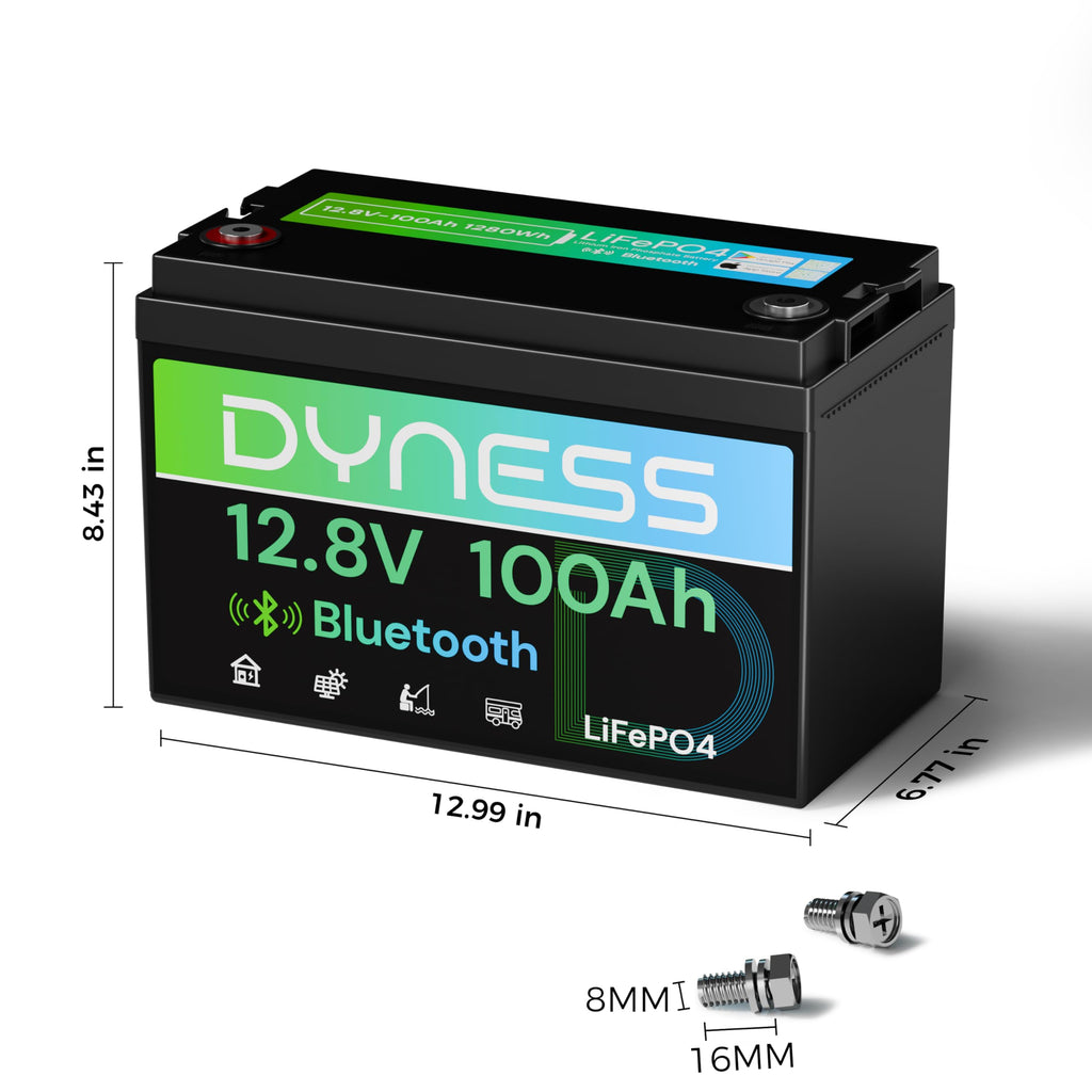 12V 100Ah LiFePO4 Lithium Battery J4454