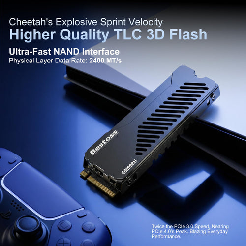 1TB PCIe 4.0 NVMe M.2 2280 SSD with Heatsink E39273