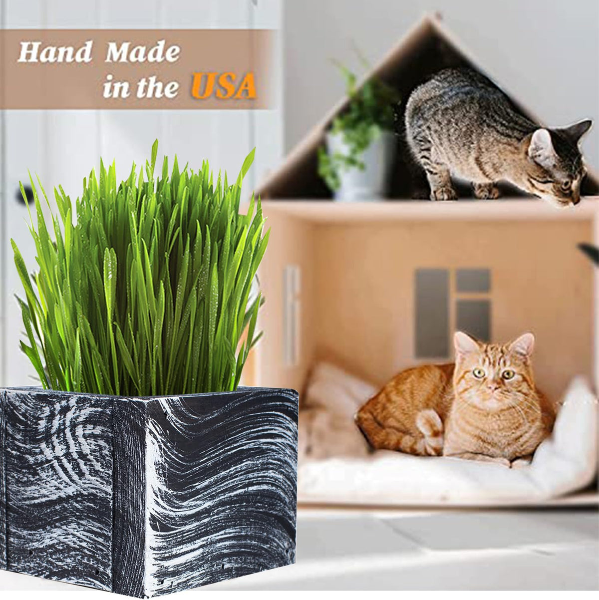 Organic Cat Grass Kit with Planter, Seeds and Soil S166
