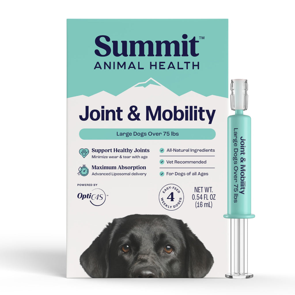 Liquid Joint and Mobility Supplement for Large Dogs N770197