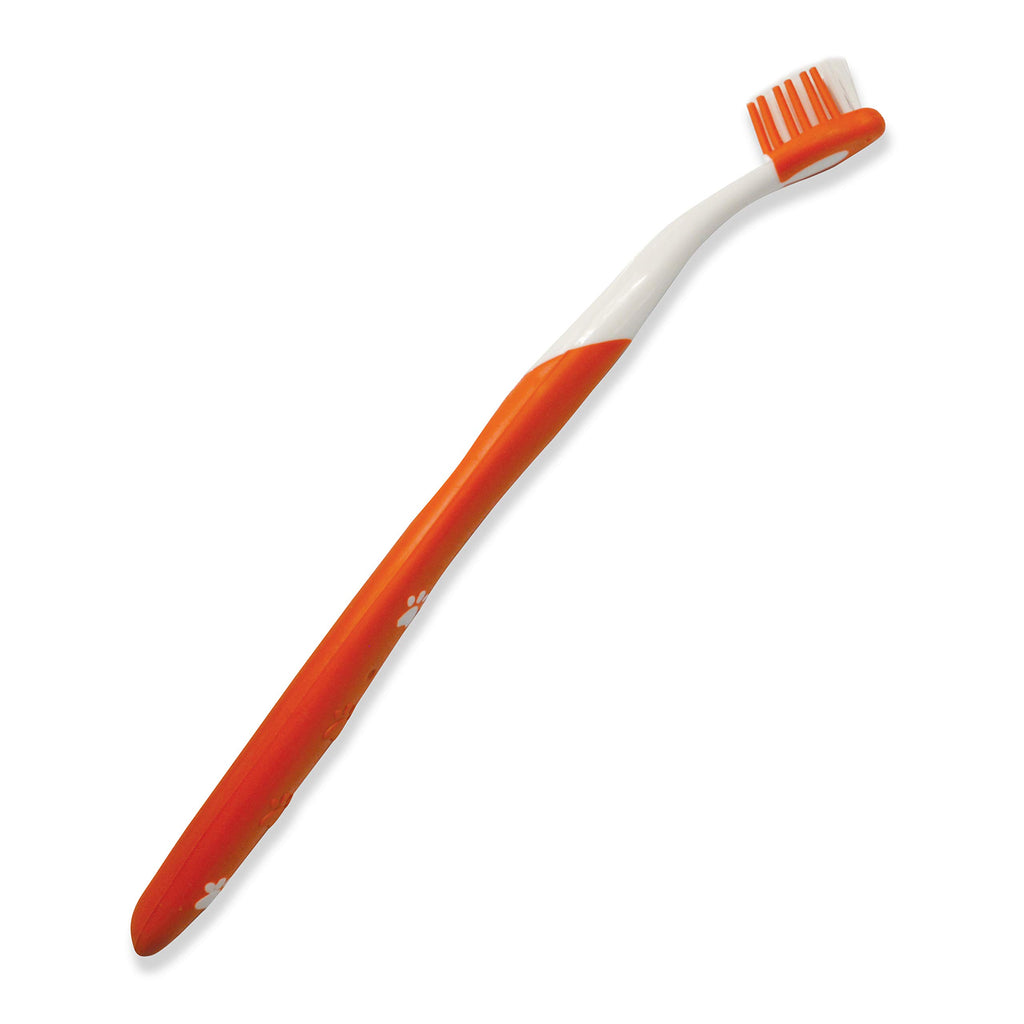 Advanced Oral Care Cat Dental Kit 3 Count O3889