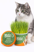 Cat Grass Grow Kit R89583