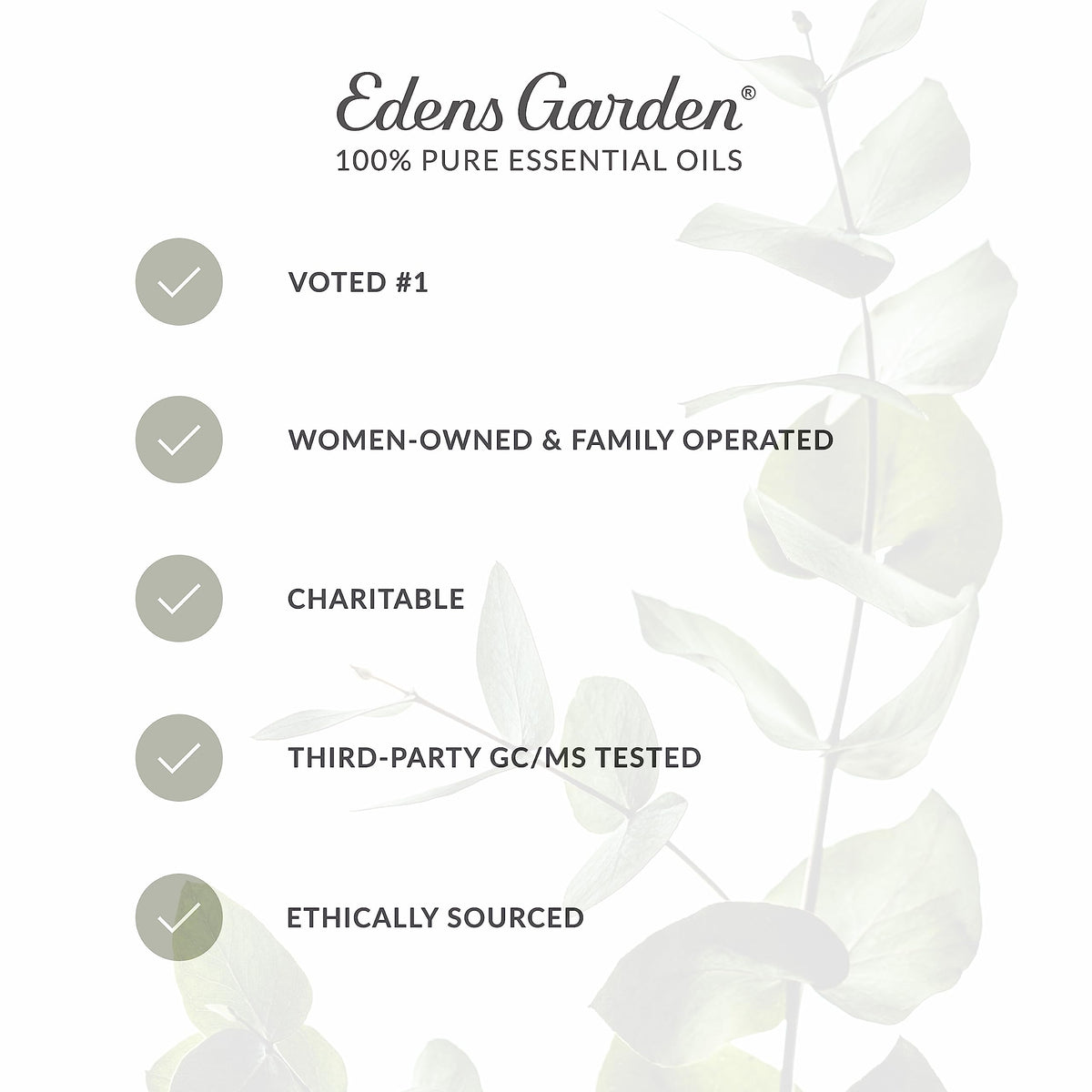 Vanilla Oleoresin Essential Oil 118 ml (4 fl oz) Q11832