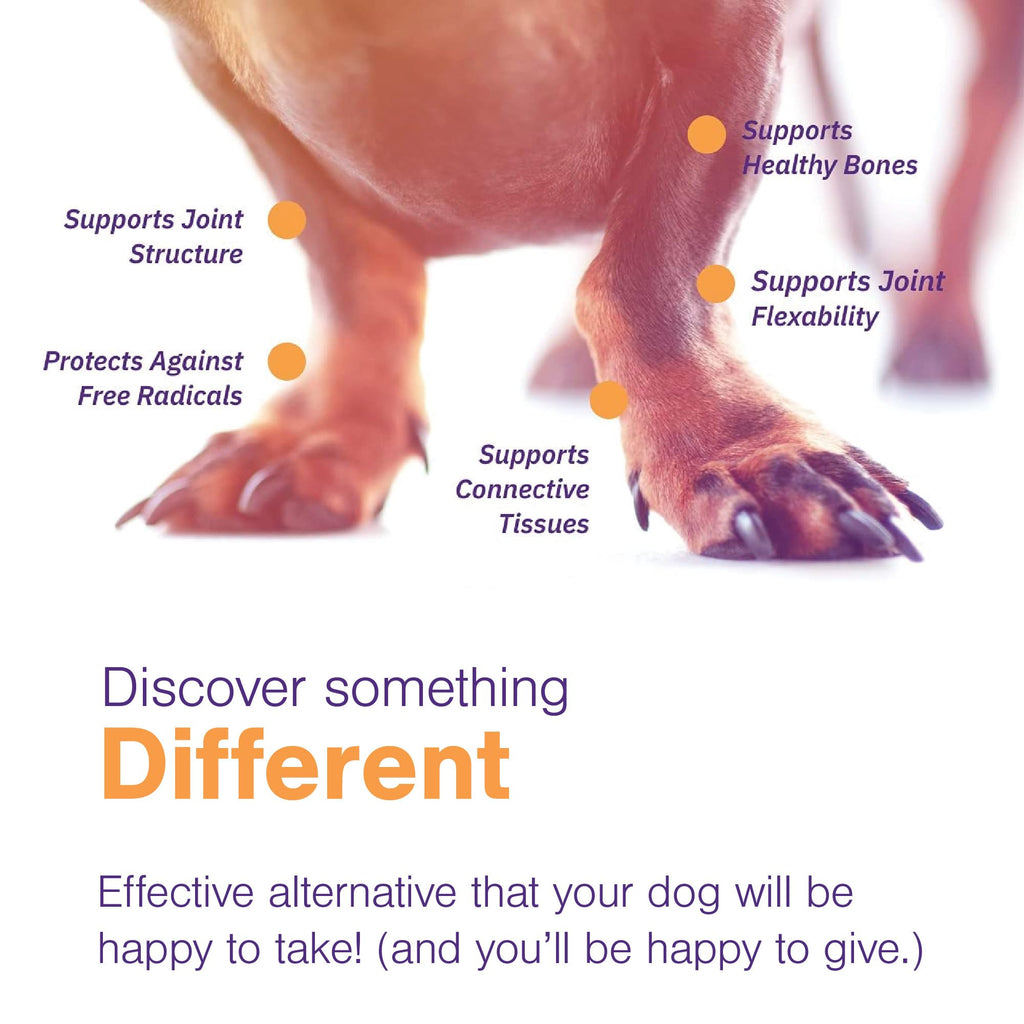Joint Support Supplement for Dogs - 60 Soft Chews for Small Dogs T2745