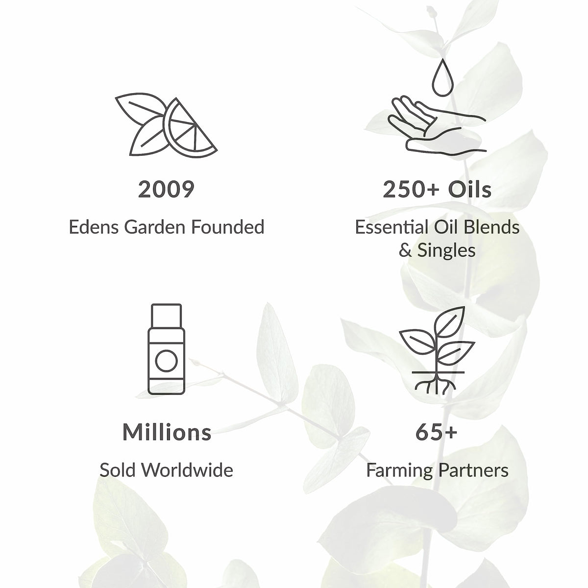 Vanilla Oleoresin Essential Oil 118 ml (4 fl oz) Q11832