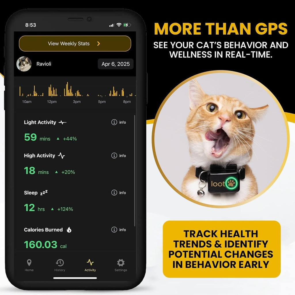 GPS Cat Tracker Collar A677