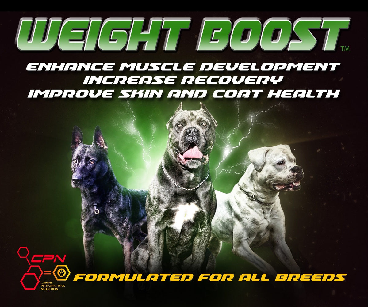 High Calorie Dog Food Supplement 6lb M6644
