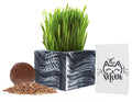 Organic Cat Grass Kit with Planter, Seeds and Soil S166