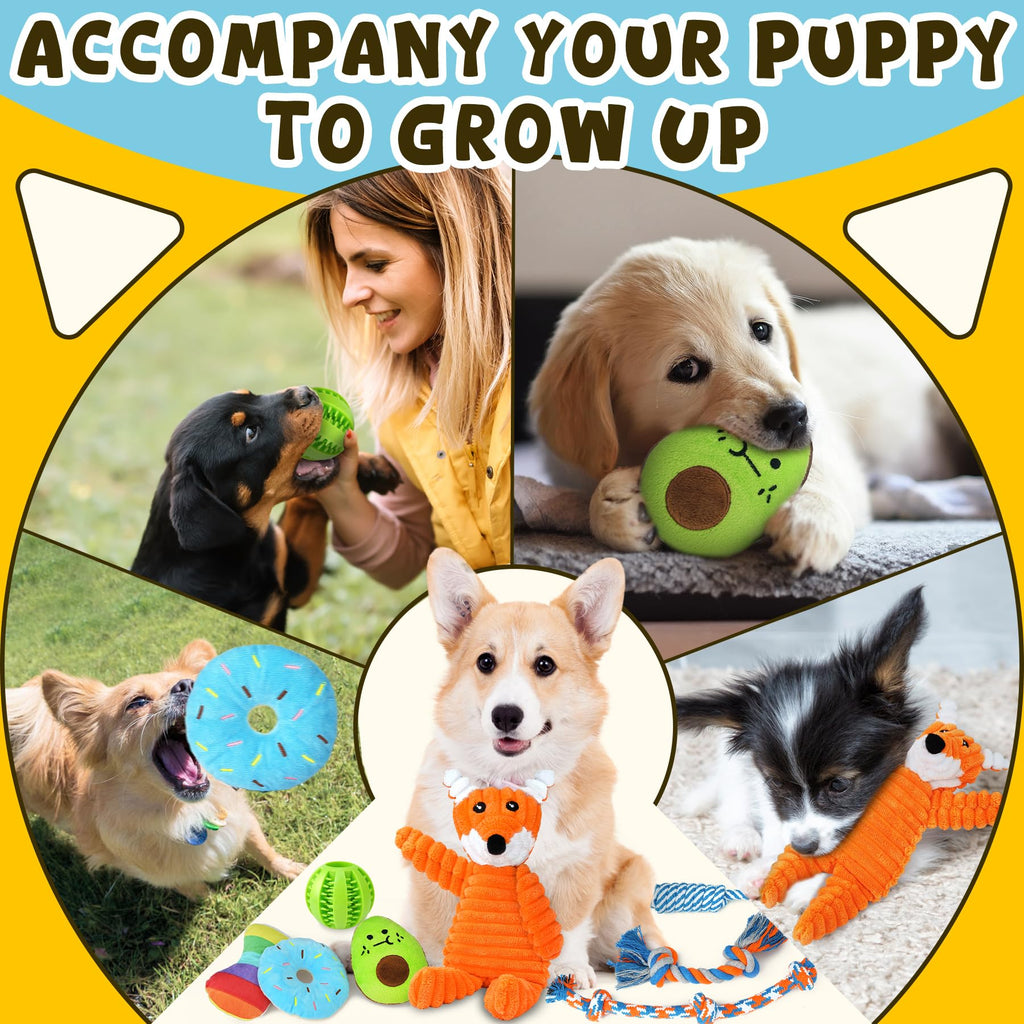 9 Pack Puppy Chew Toys with Rope Q310