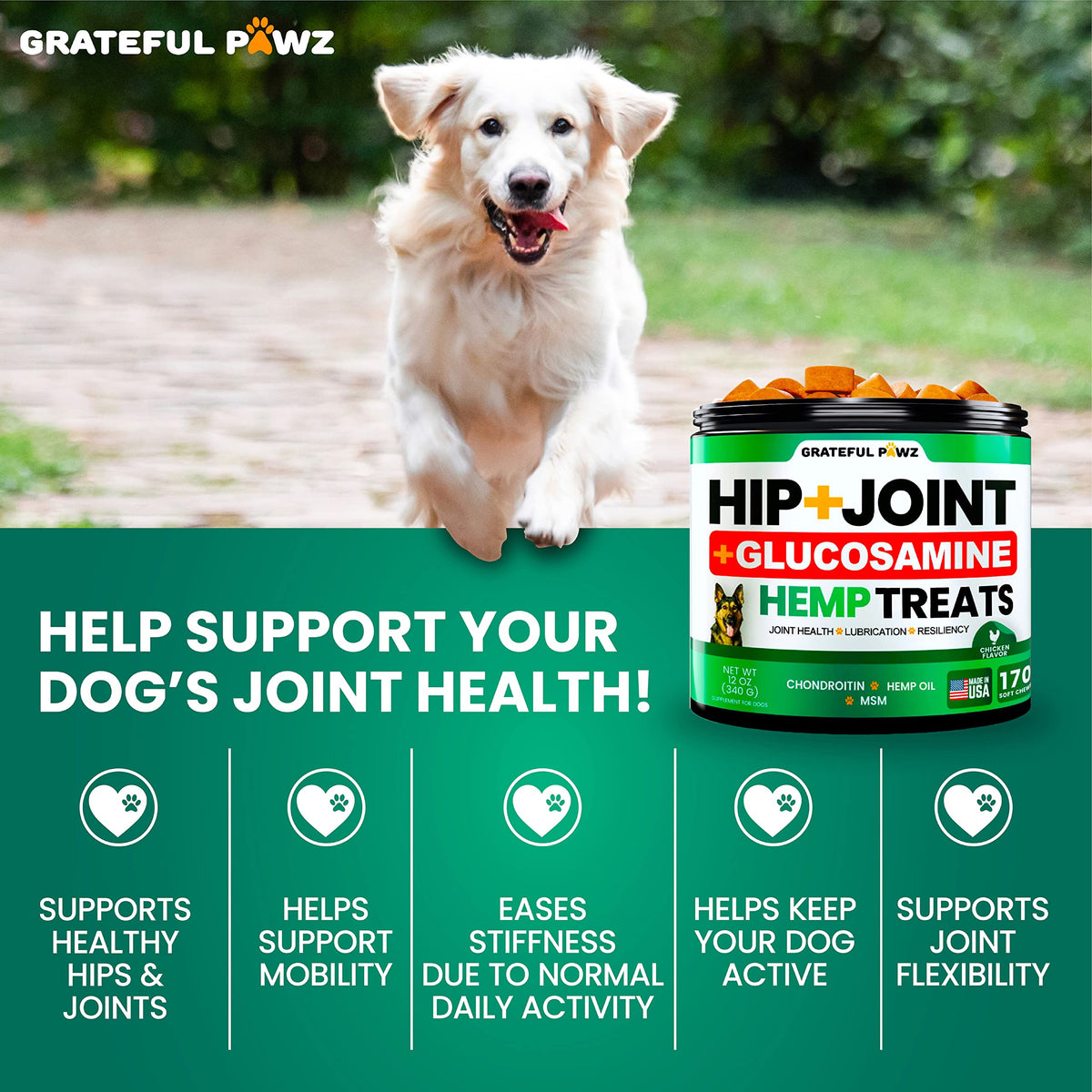 Hemp Hip and Joint Supplement for Dogs 170 Count M77055