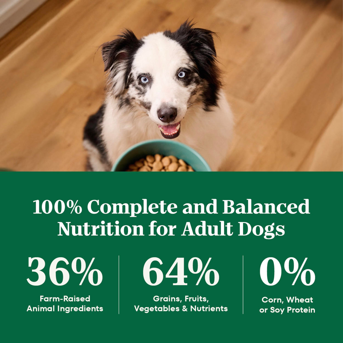 Healthy Weight Chicken & Rice Dry Dog Food 30 lb P730839