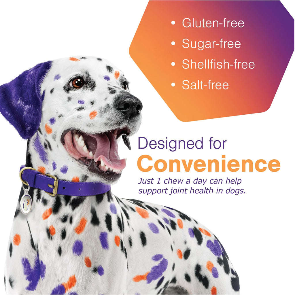 Joint Support Supplement for Dogs - 60 Soft Chews for Small Dogs T2745