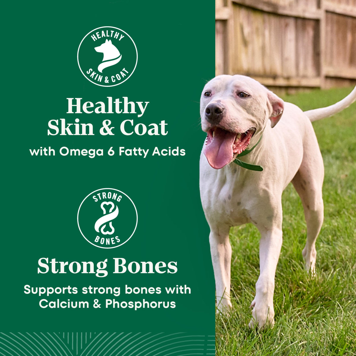 Healthy Weight Chicken & Rice Dry Dog Food 30 lb P730839