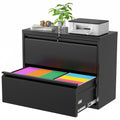 Black 2 Drawer Metal File Cabinet with Lock N37230