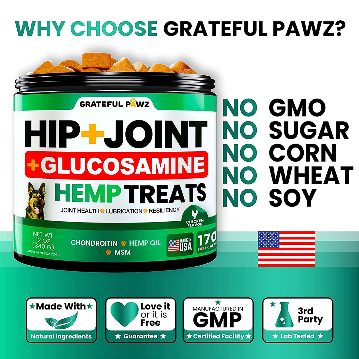 Hemp Hip and Joint Supplement for Dogs 170 Count M77055