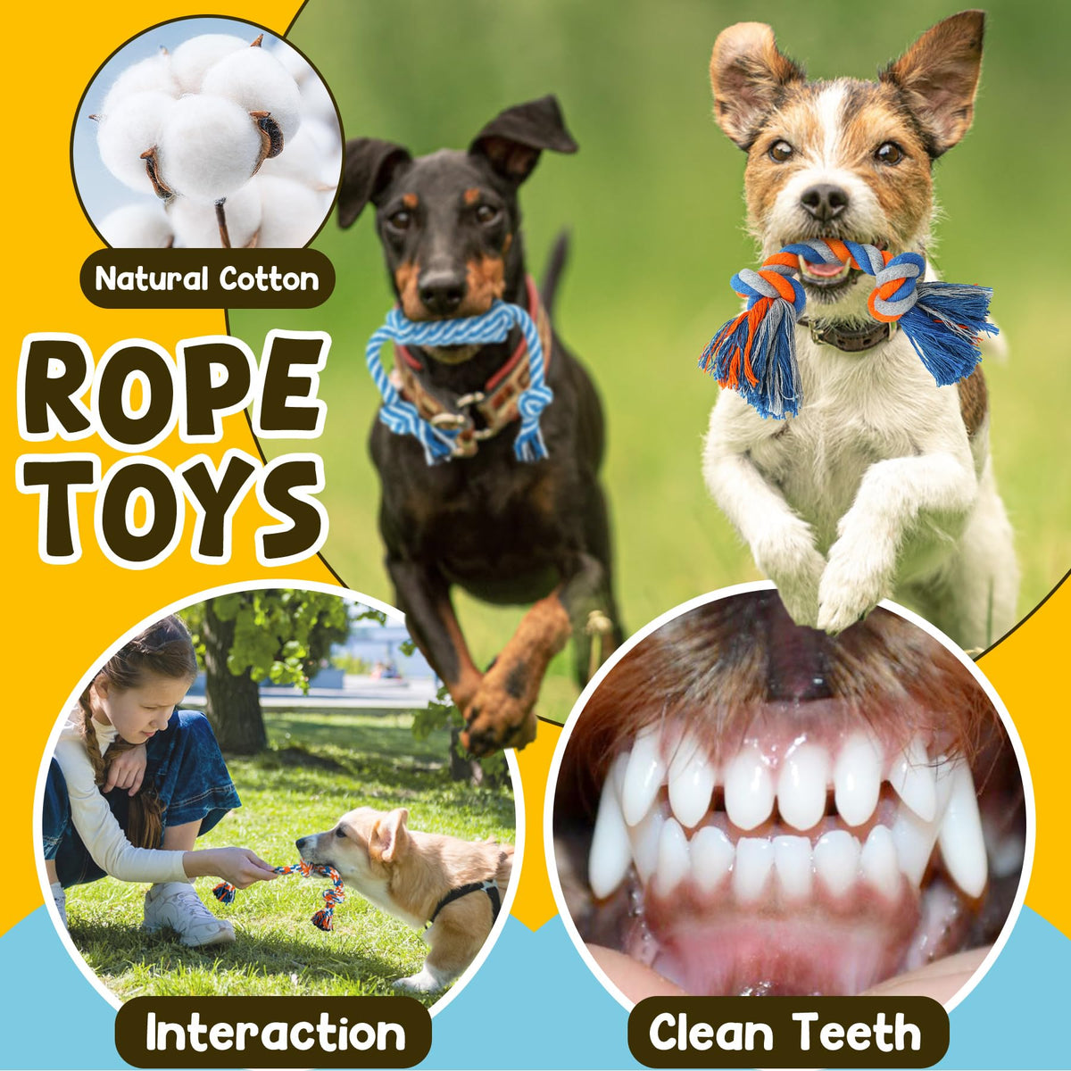 9 Pack Puppy Chew Toys with Rope Q310
