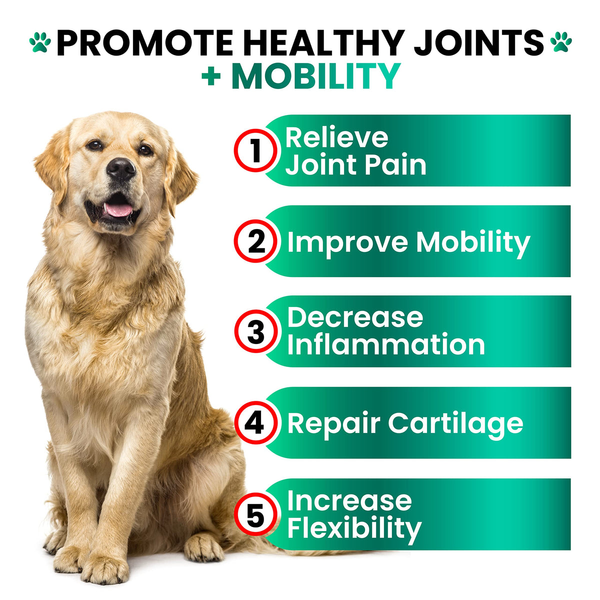 Hemp Hip and Joint Supplement for Dogs 170 Count M77055