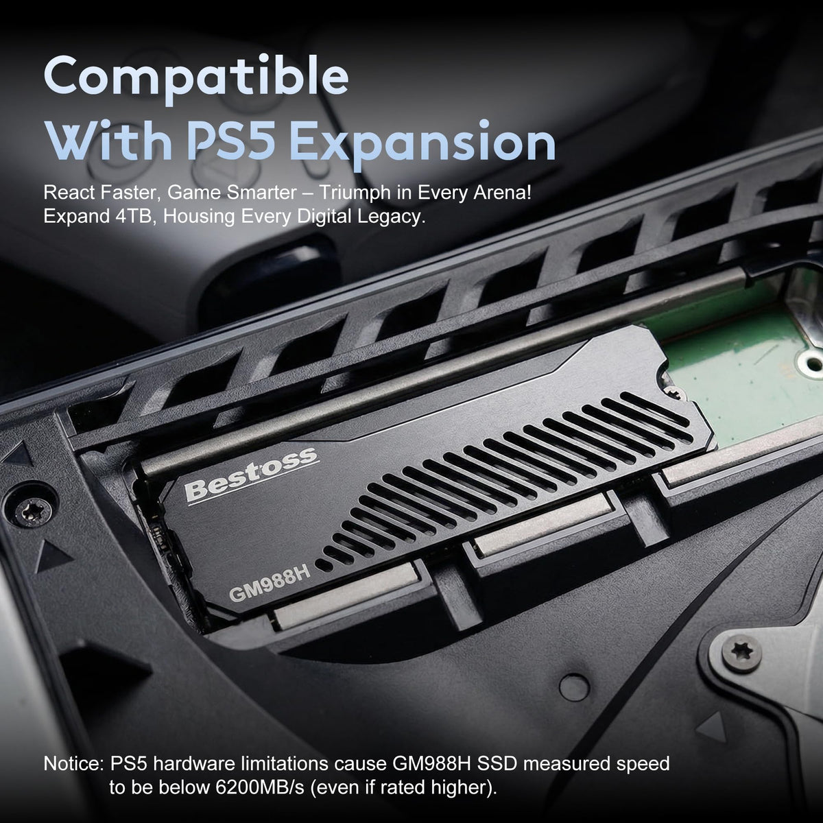 1TB PCIe 4.0 NVMe M.2 2280 SSD with Heatsink E39273