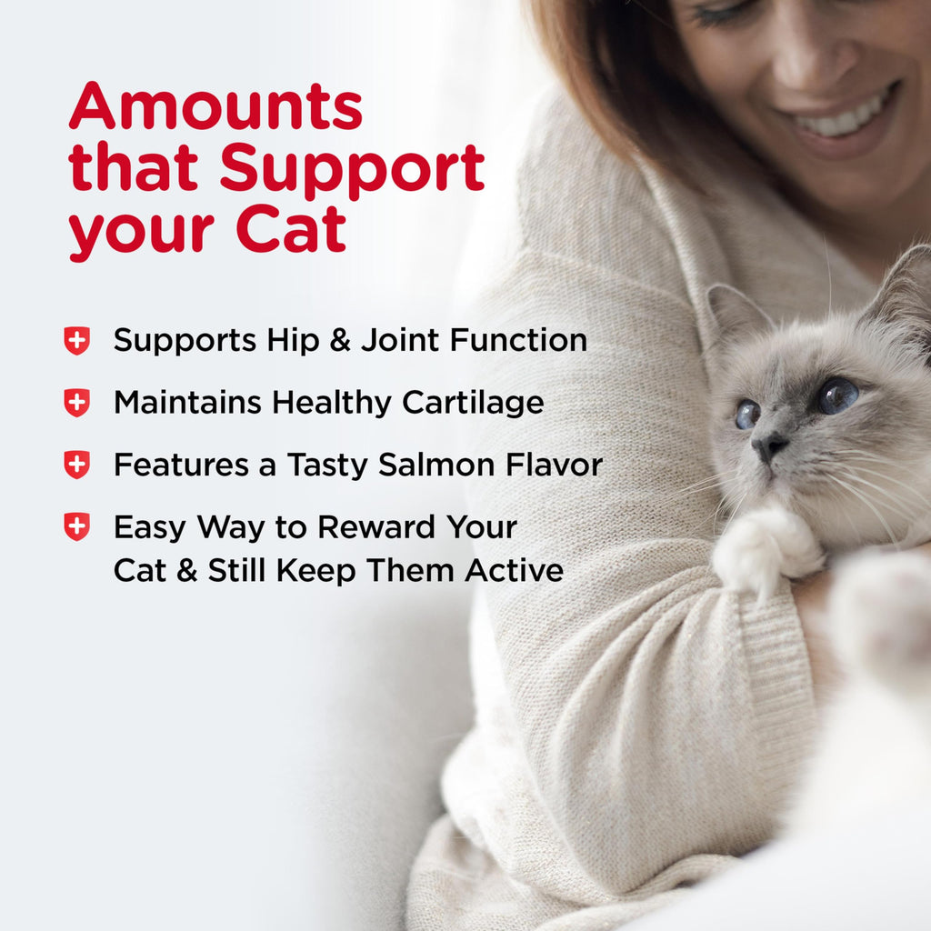 Cat Hip & Joint Supplement Glucosamine 3oz F43769