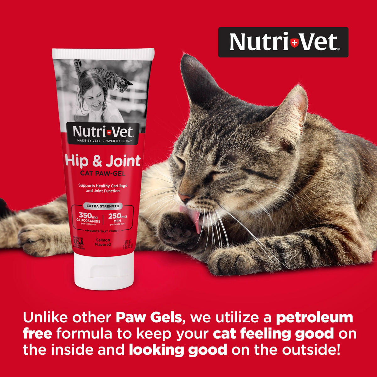Cat Hip & Joint Supplement Glucosamine 3oz F43769