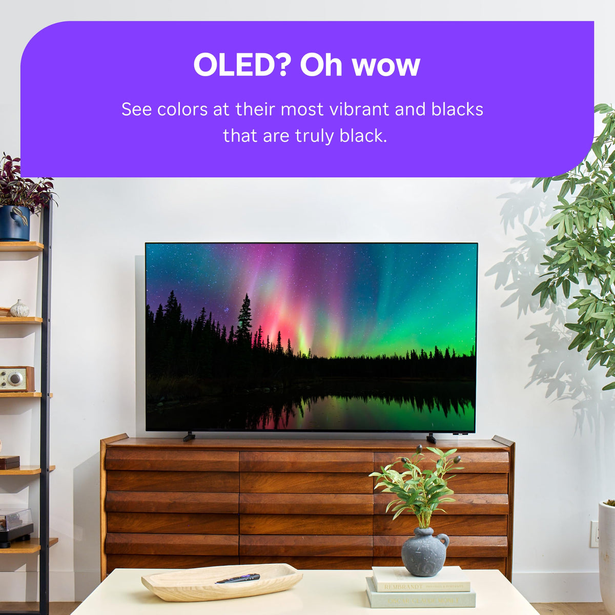 65-Inch 4K OLED 120Hz Smart TV L208