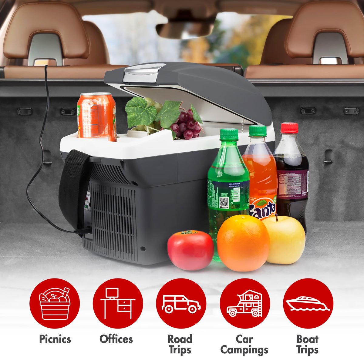 12V 6 Quart Portable Electric Cooler Warmer T582