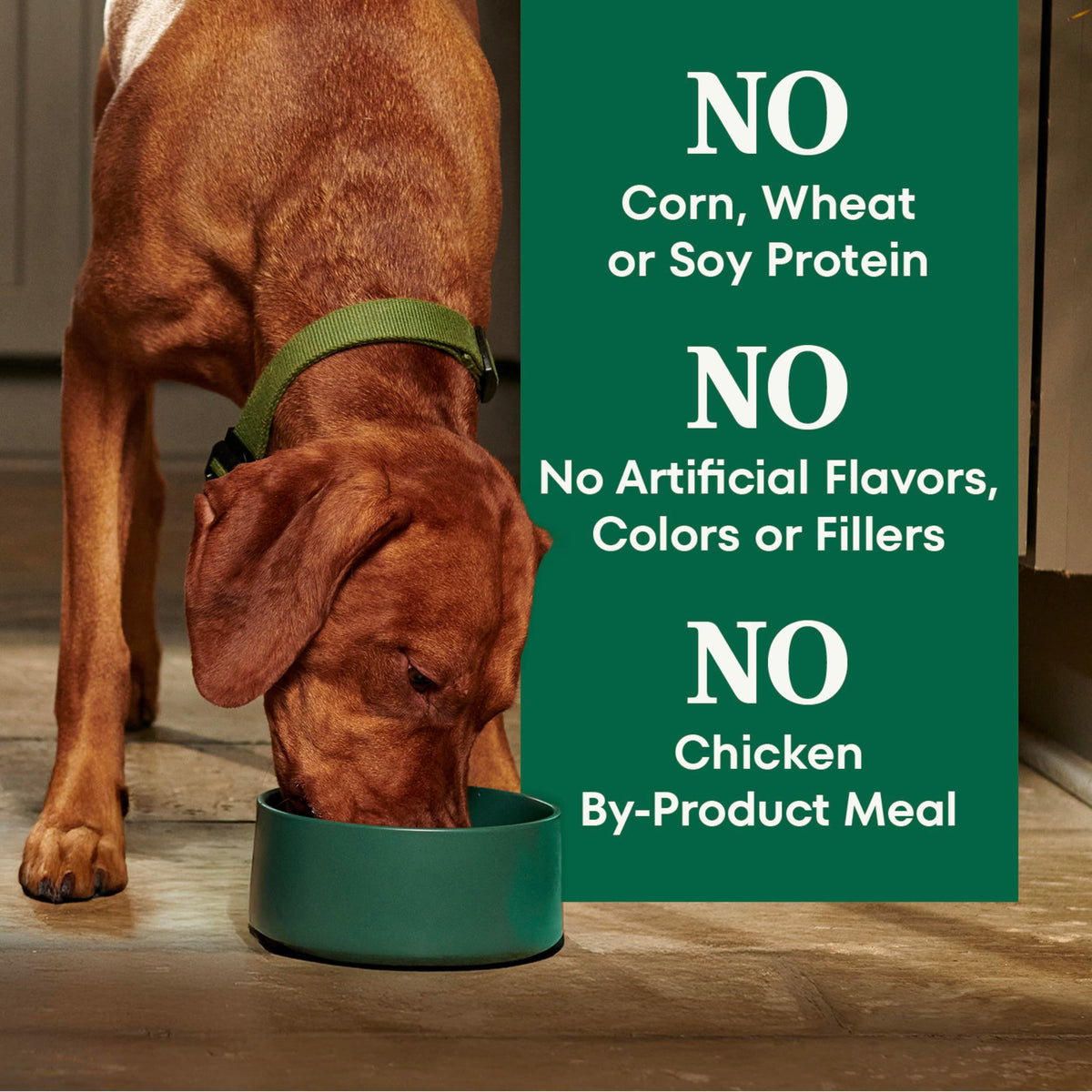 Healthy Weight Chicken & Rice Dry Dog Food 30 lb P730839